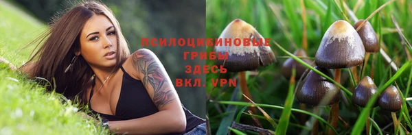винт Алзамай