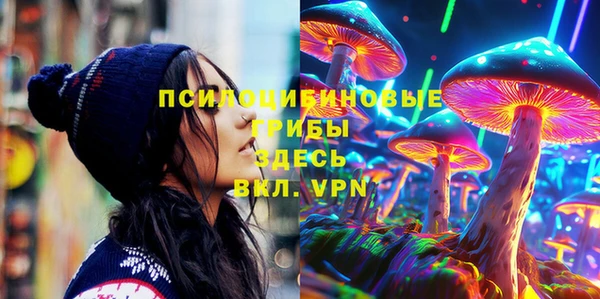 винт Алзамай