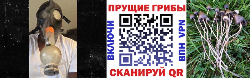 Галлюциногенные грибы мухоморы ссылка на мегу ONION Нефтекамск